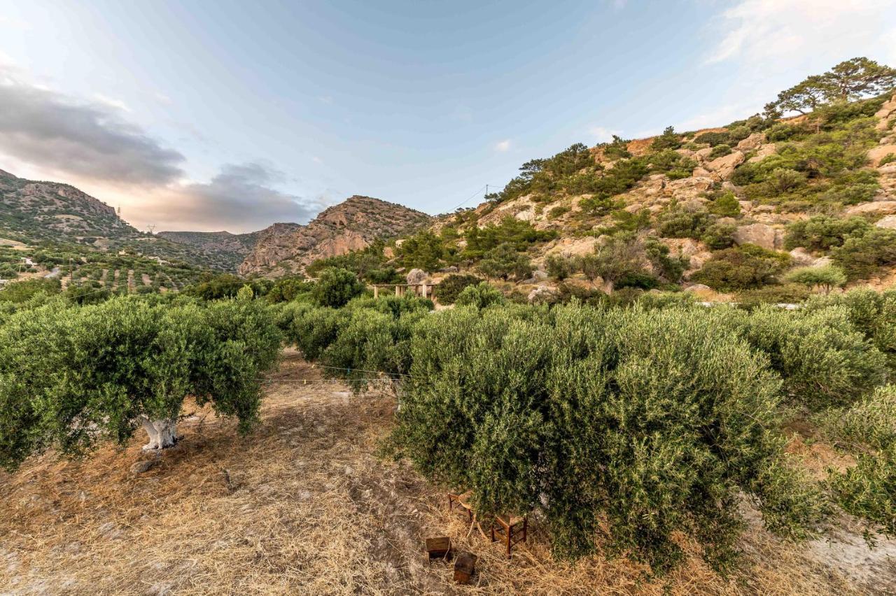 Natura Cottages Makrýgialos エクステリア 写真