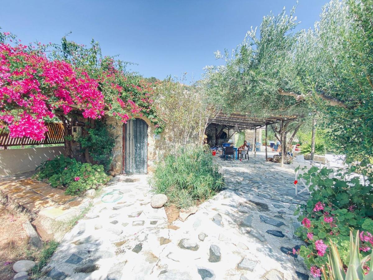 Natura Cottages Makrýgialos エクステリア 写真